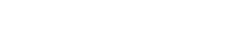 Vital Micro-electronics — Vital Materials グループ