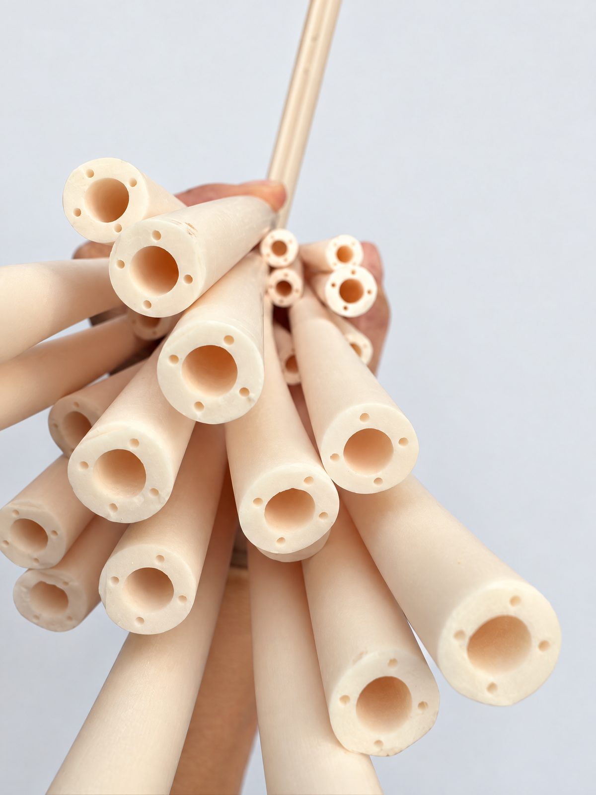 A bundle of thick-walled cream-to-peach tubes held end-on, each with a large central bore and a ring of small holes in the wall.